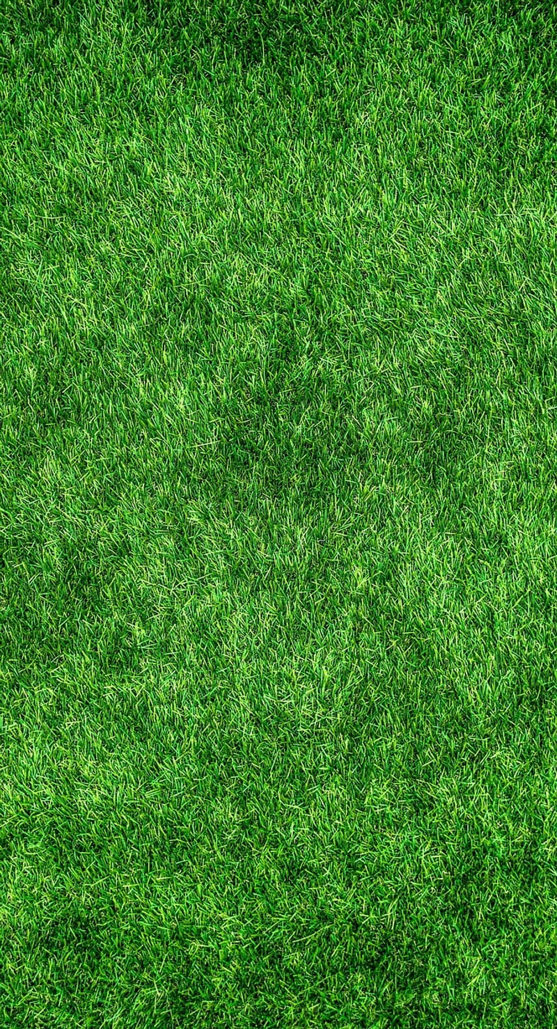 Eco-friendly style